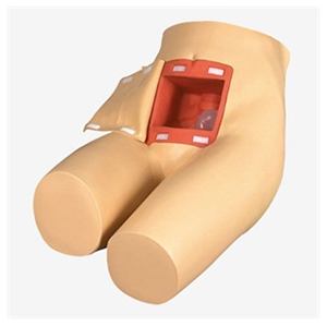 Enema and assisted defecation model